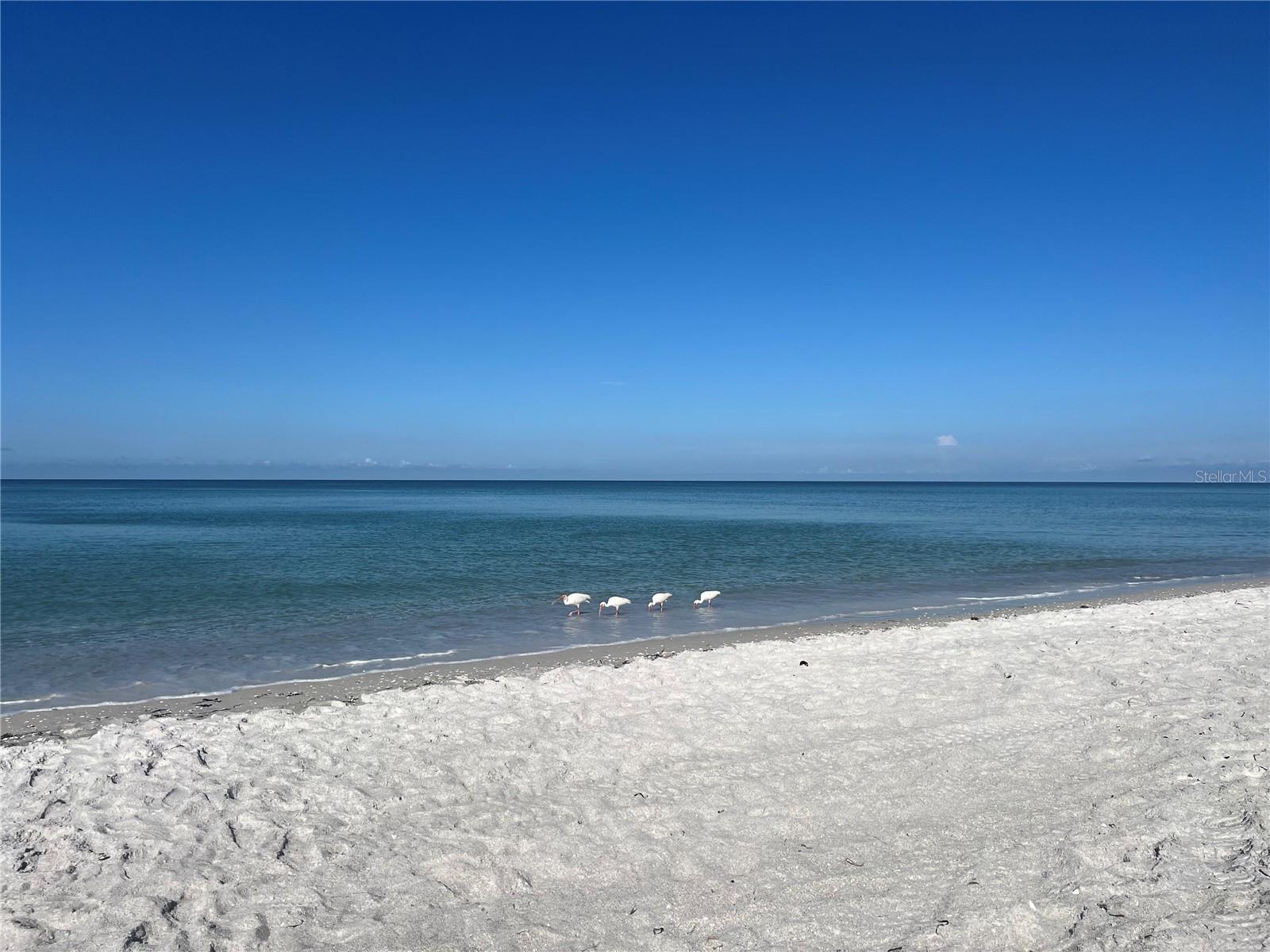 SEA GATE CLUB - Residential Lease