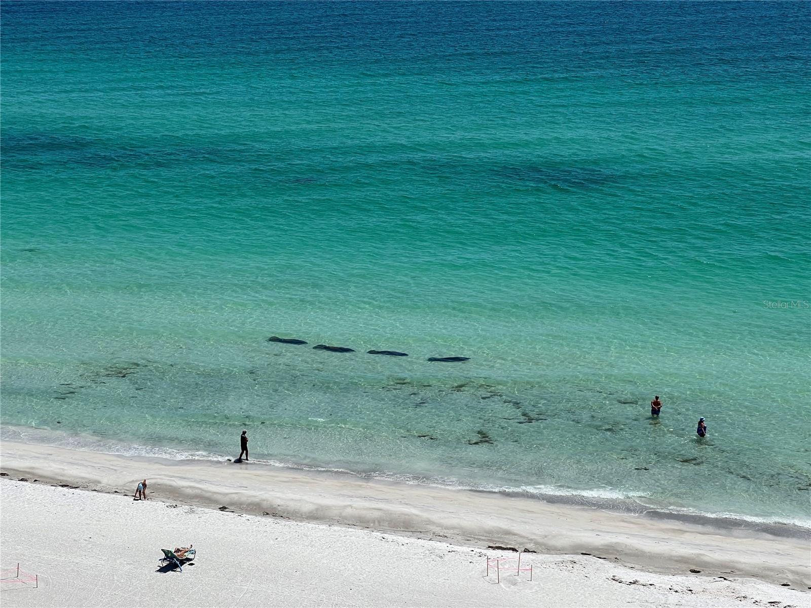 SEA GATE CLUB - Residential Lease