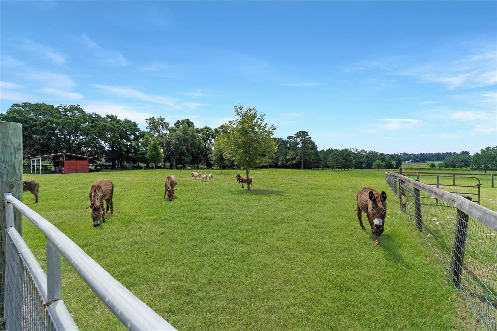 AG NON-SUB - Residential