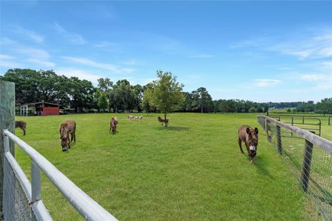Tiny photo for 16520 NW 170th Street, Williston, FL 32696 (MLS # OM702784)