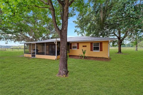 Tiny photo for 16520 NW 170th Street, Williston, FL 32696 (MLS # OM702784)