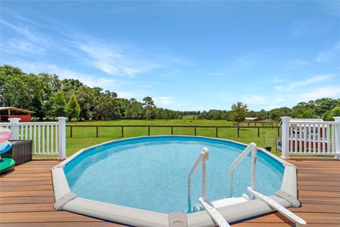 Tiny photo for 16520 NW 170th Street, Williston, FL 32696 (MLS # OM702784)