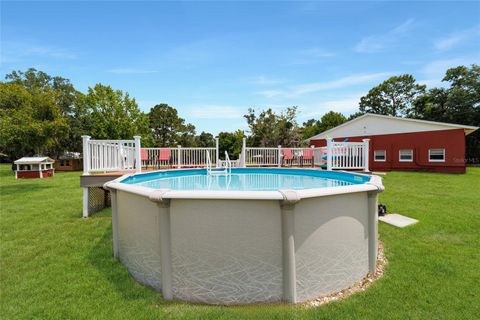 Tiny photo for 16520 NW 170th Street, Williston, FL 32696 (MLS # OM702784)