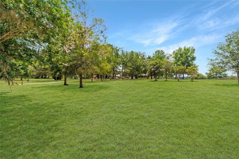 Tiny photo for 16520 NW 170th Street, Williston, FL 32696 (MLS # OM702784)