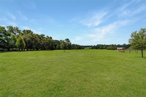 Tiny photo for 16520 NW 170th Street, Williston, FL 32696 (MLS # OM702784)