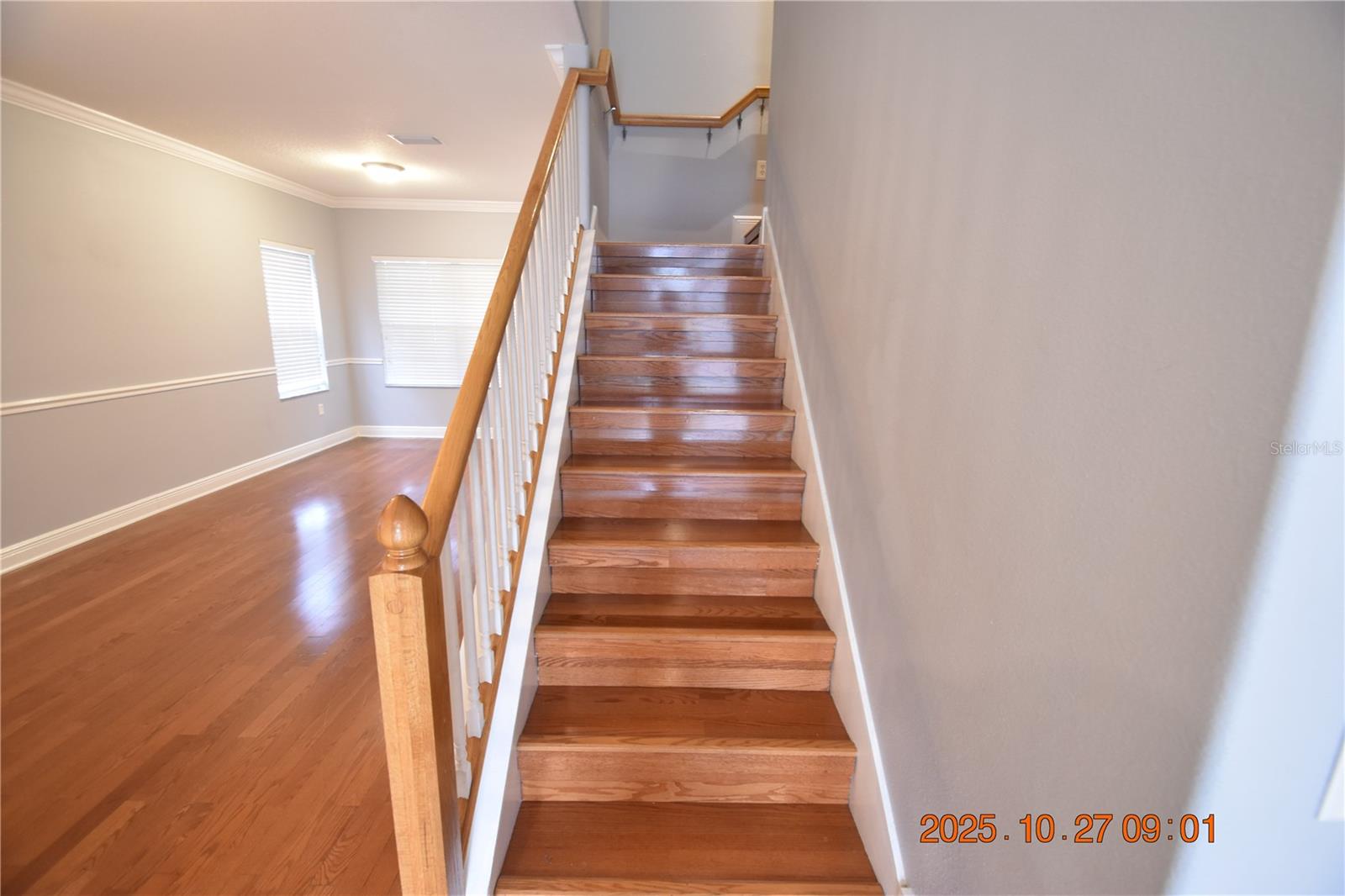 ENCLAVE AT CITRUS PARK - Residential Lease