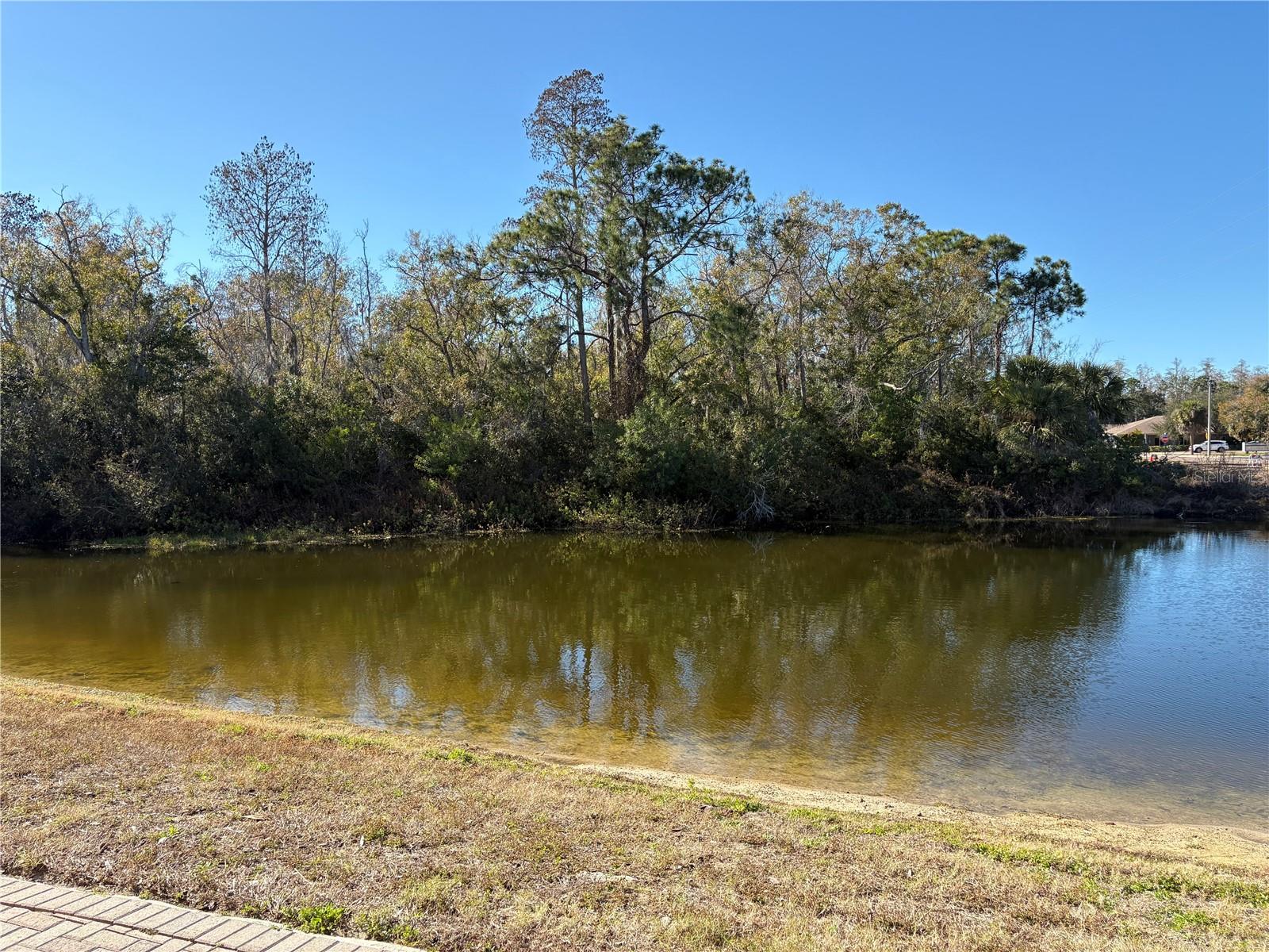 HAYES PARK VILLAGE - Residential