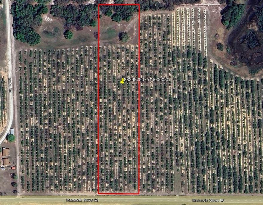 Secluded 5.7-acre homesite near Lake Wales, FL, featuring wooded areas and ponds. Offers privacy while still being close to restaurants, shopping, and schools. Wildlife on the property includes deer, turkey, and hogs.
