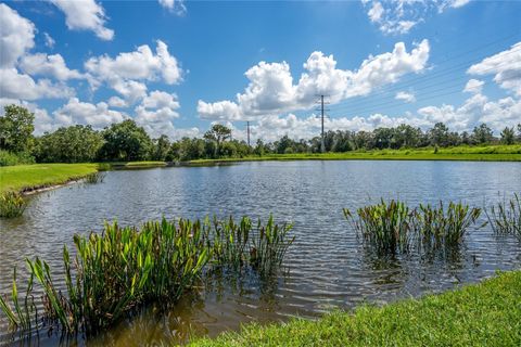 A home in WESLEY CHAPEL