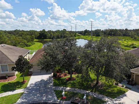 A home in WESLEY CHAPEL