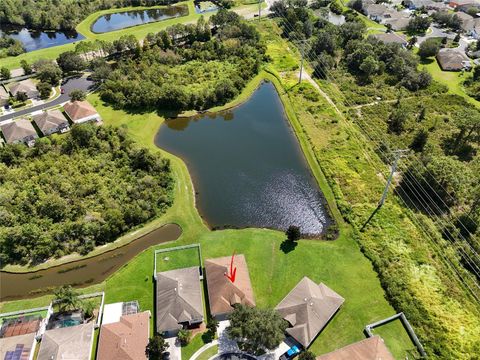 A home in WESLEY CHAPEL