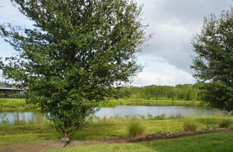 HARMONY NBHD I - Residential