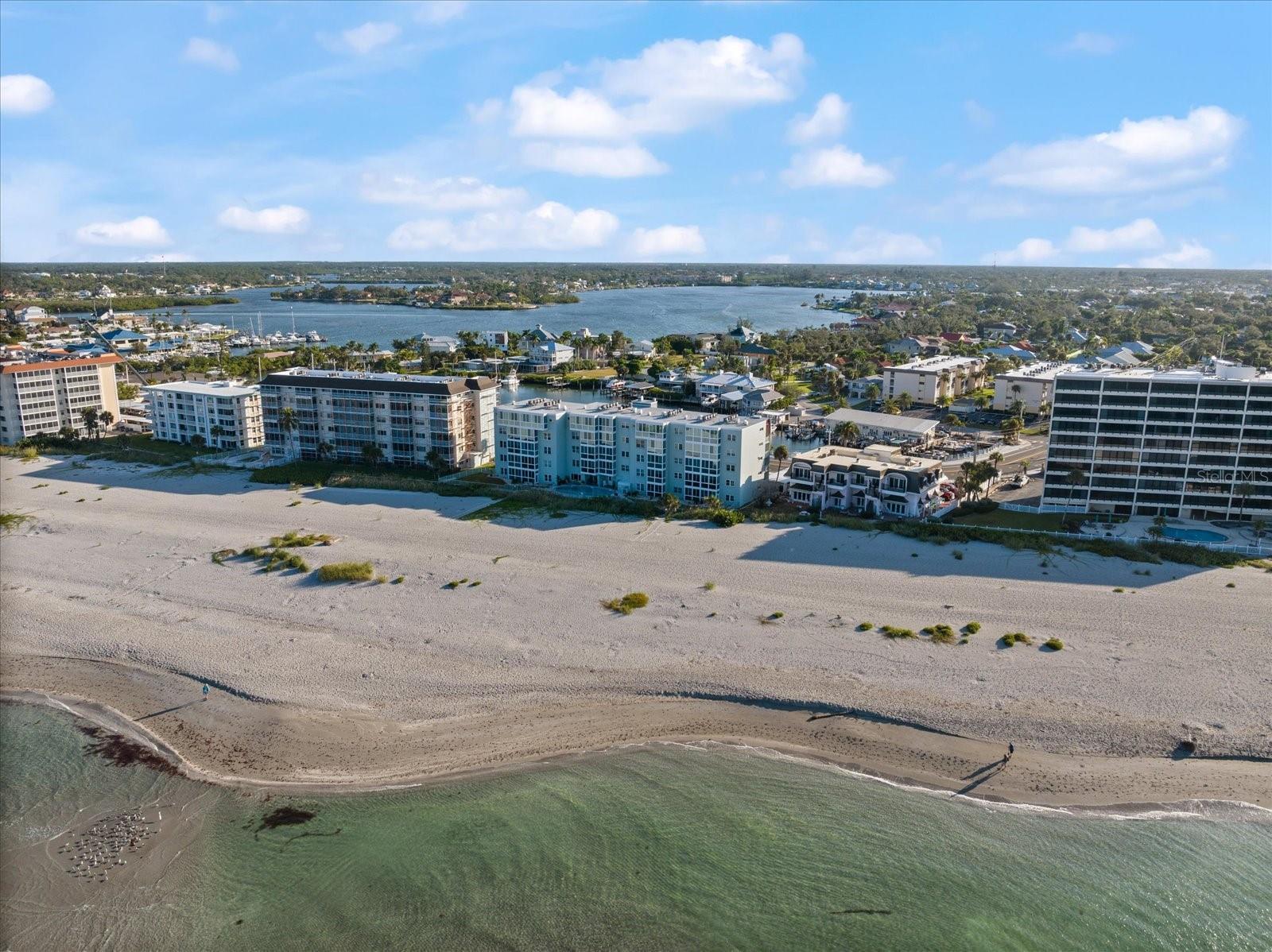 THE ORLEANS - Residential