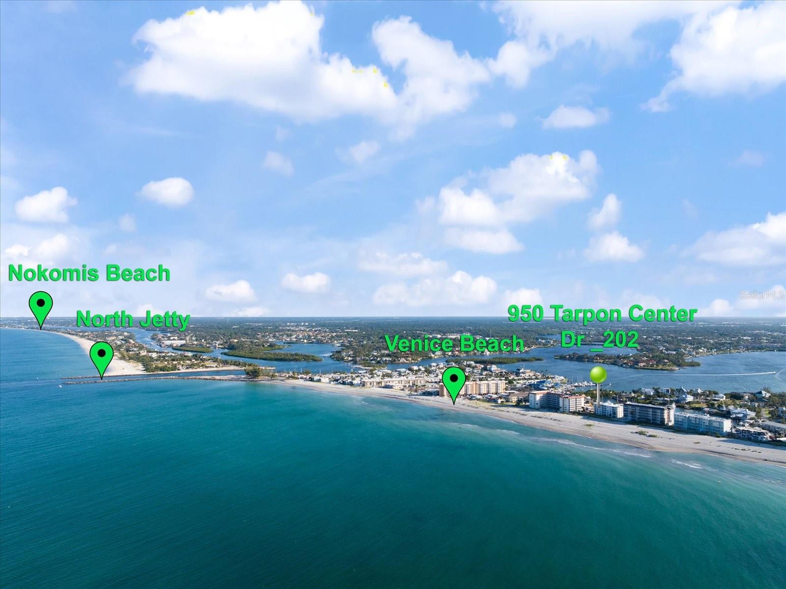 THE ORLEANS - Residential