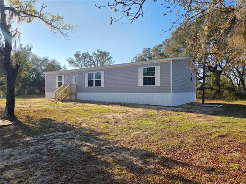 Photo of 12070 NE 63rd Place, Williston, FL 32696 (MLS # TB8489729)