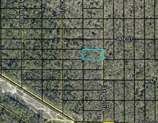 Photo of 189 Ruth Ave, Hastings, FL 32145 (MLS # C7530664)