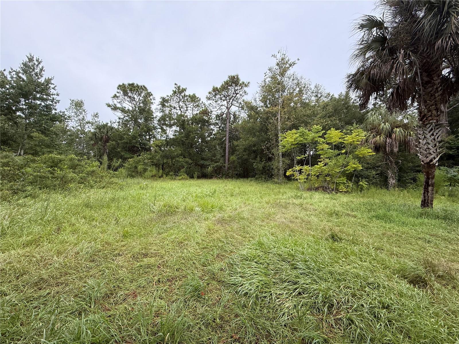 VILLA TERRACE UNIT 08 OF HOMOSASSA - Land