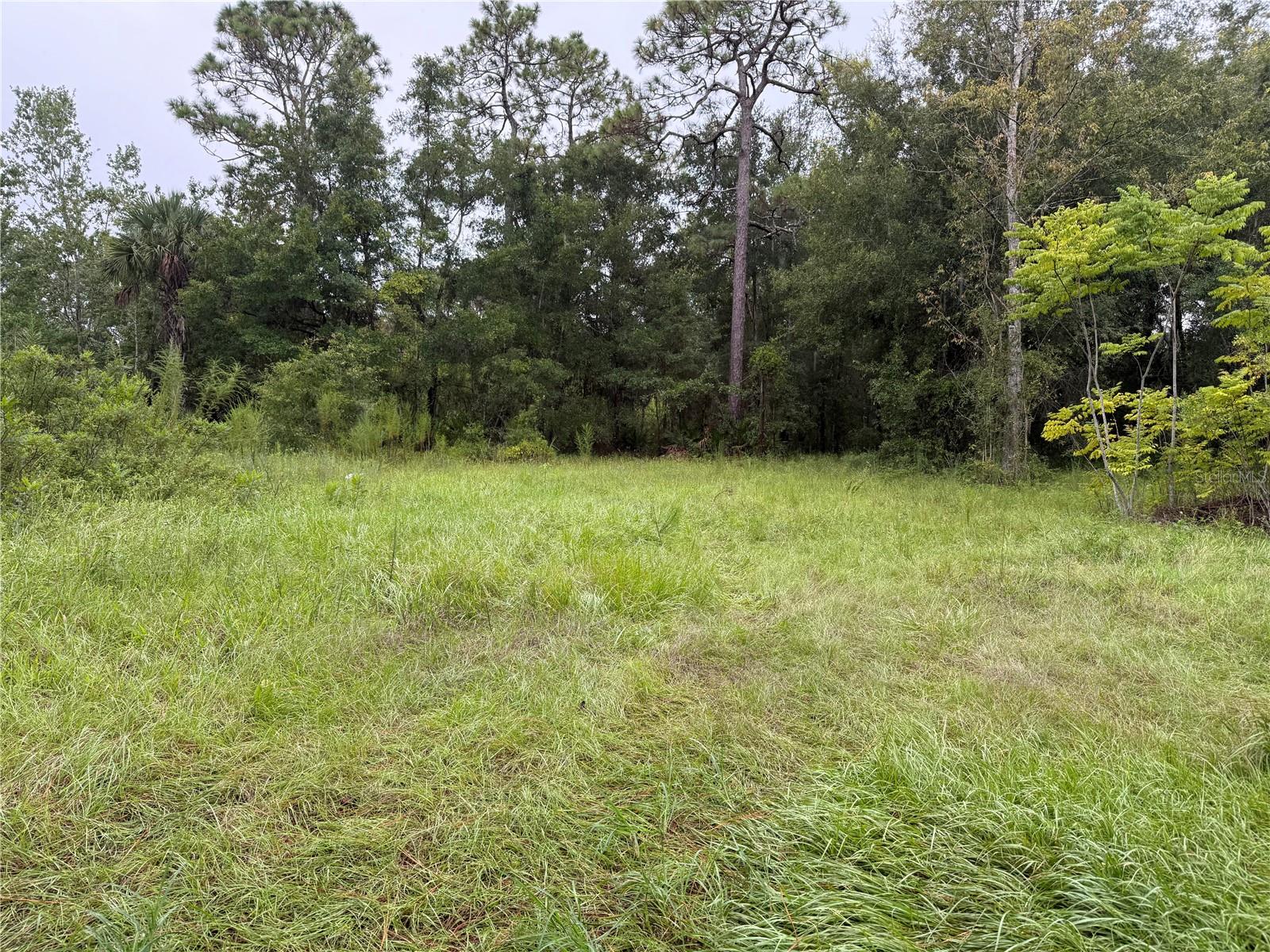 VILLA TERRACE UNIT 08 OF HOMOSASSA - Land
