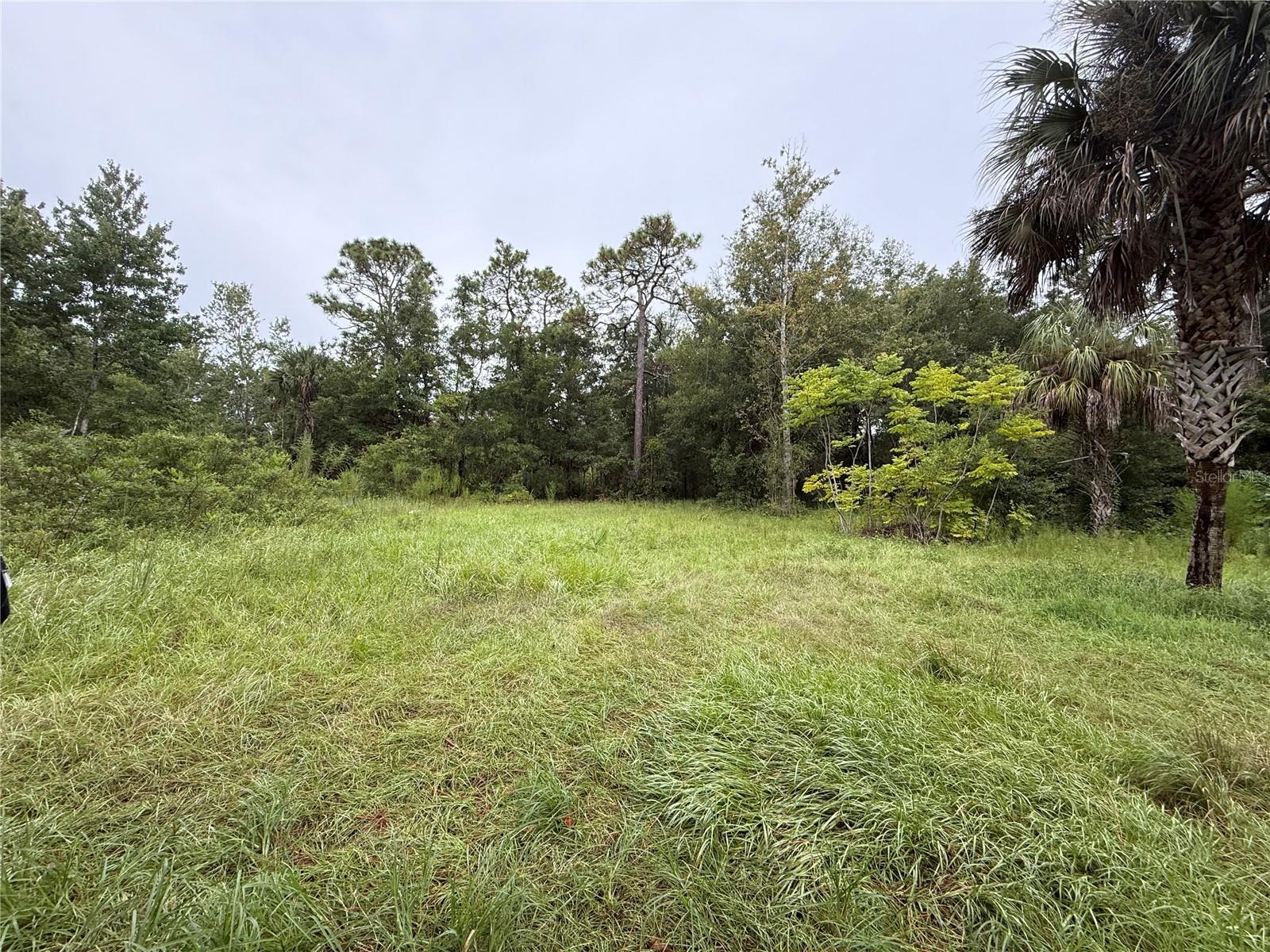 Discover your slice of paradise in unincorporated Citrus County, right in the heart of Homosassa, FL! This recently cleared AND surveyed lot (August 2024) is ready for your next adventure—whether it's a manufactured home or a private retreat. Zoned Medium Density Residential and Mobile Home Allowed (MDRMH) with a future land use designation of Low-Density Residential, this property offers flexibility for your plans.
Previously home to a mobile unit placed in 1986, the lot may already have utility access, including an existing septic system (condition unknown), which was in use while the home was on-site. It is unknown if a well exists, but it would be needed as a water source. Also, the IMPACT FEES were PAID and would be credited to a new stucture being placed on the property according to the county. Located in the Coastal Rivers Basin tax district, this property is tucked away for ultimate privacy yet remains conveniently close to shopping, dining, and daily essentials.
With NO HOA and within county limits, you’ll have the freedom to create the space you’ve always wanted. Just a stone’s throw from Old Homosassa, you'll enjoy the charm of the area while still being minutes from major highways.
Don’t miss this opportunity to own a piece of Florida’s Gulf Coast!