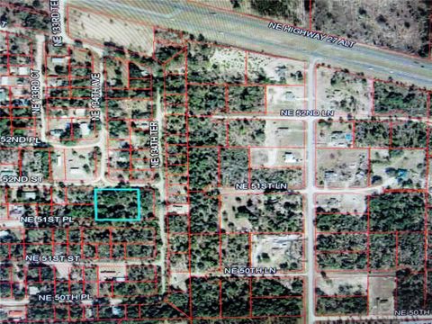 0 NE 52ND STREET WILLISTON FL 32696