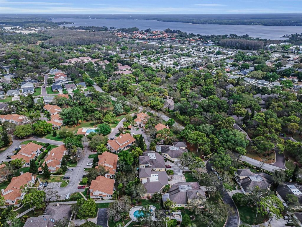 Photo of 2175 Oak Forest Lane, Palm Harbor, FL 34683 (MLS # TB8488436)