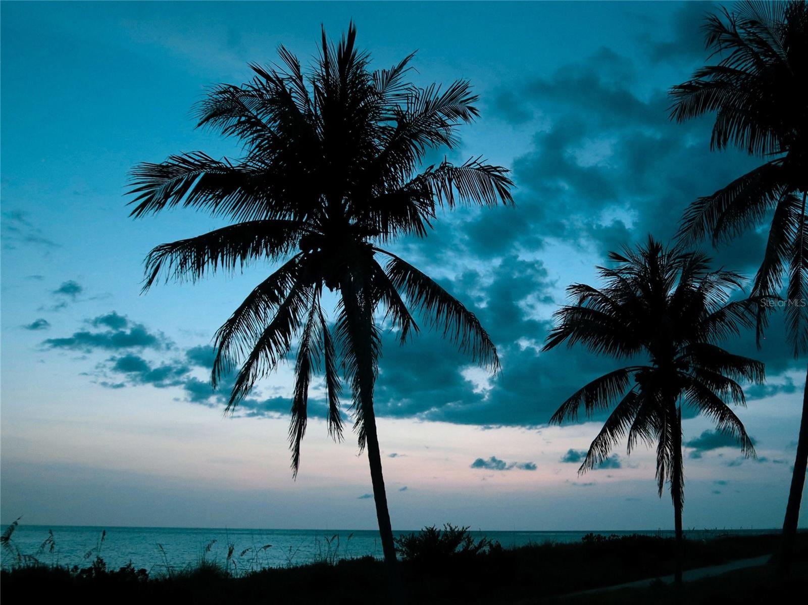 SARASOTA BEACH - Residential