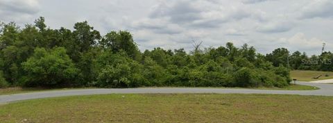 157 SW PL ROAD OCALA FL 34473