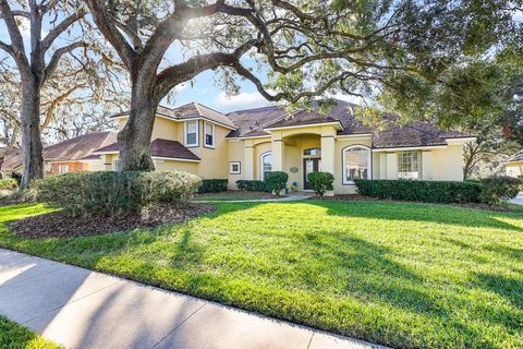 A home in VALRICO