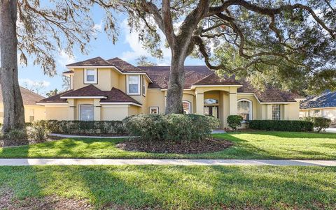 A home in VALRICO