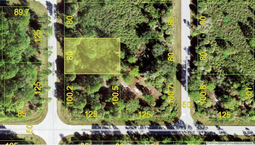 No HOA, deed restrictions or CDDs!!! Don't wait until demand exceeds supply!! Not in a area requiring Scrub Jay mitigation per the Charlotte County Property Appraiser website 07/06/23 -please reconfirm during due diligence. This great Residential Single Family Home zoned lot in beautiful Port Charlotte is just waiting for you!! This is nearly a quarter of an acre of the sunny Florida dream. Although out in the scenic Florida landscape, this lot is still conveniently located to shopping, dining, banking, etc. New construction is everywhere you look and you can be part of the action. Information about builders available upon request. Also perfect for self-directed IRA's, 401K's and other investment portfolios. 16.5 MILES TO THE ENGLEWOOD BEACH!