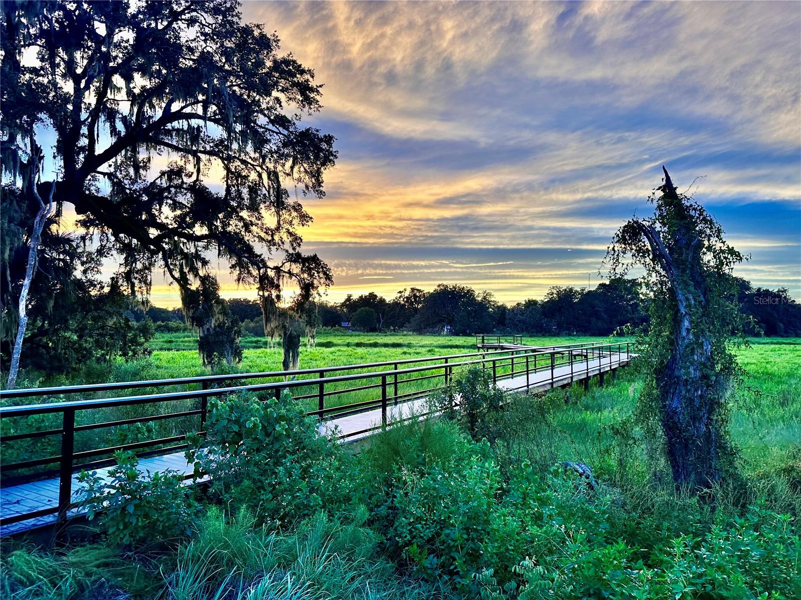 ABBOTT SQUARE PH 1A - Residential