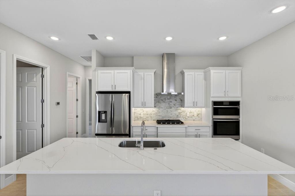 LAKES OF MOUNT DORA - Residential