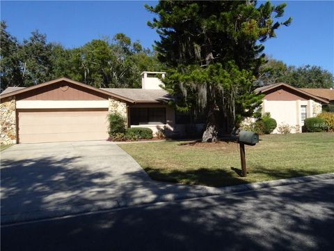 A home in TAVARES