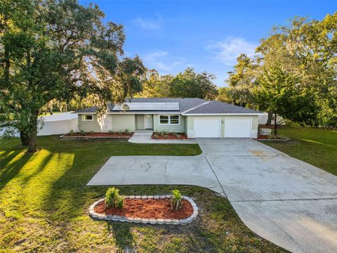 A home in HOMOSASSA