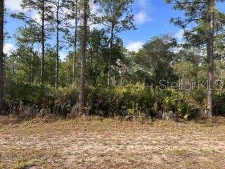 Photo of 212 Orchid Drive, Indian Lake Estates, FL 33855 (MLS # TB8483270)