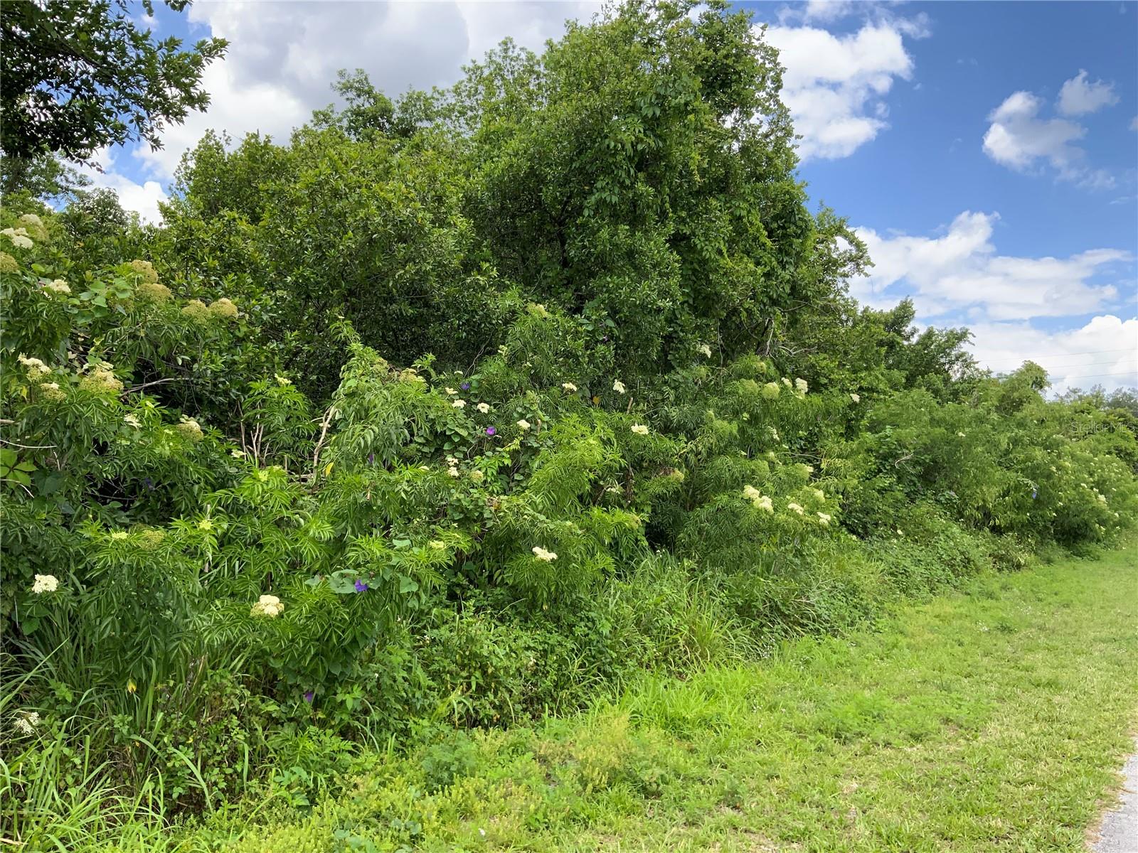 DELTONA LAKES UN 55 #C - Land