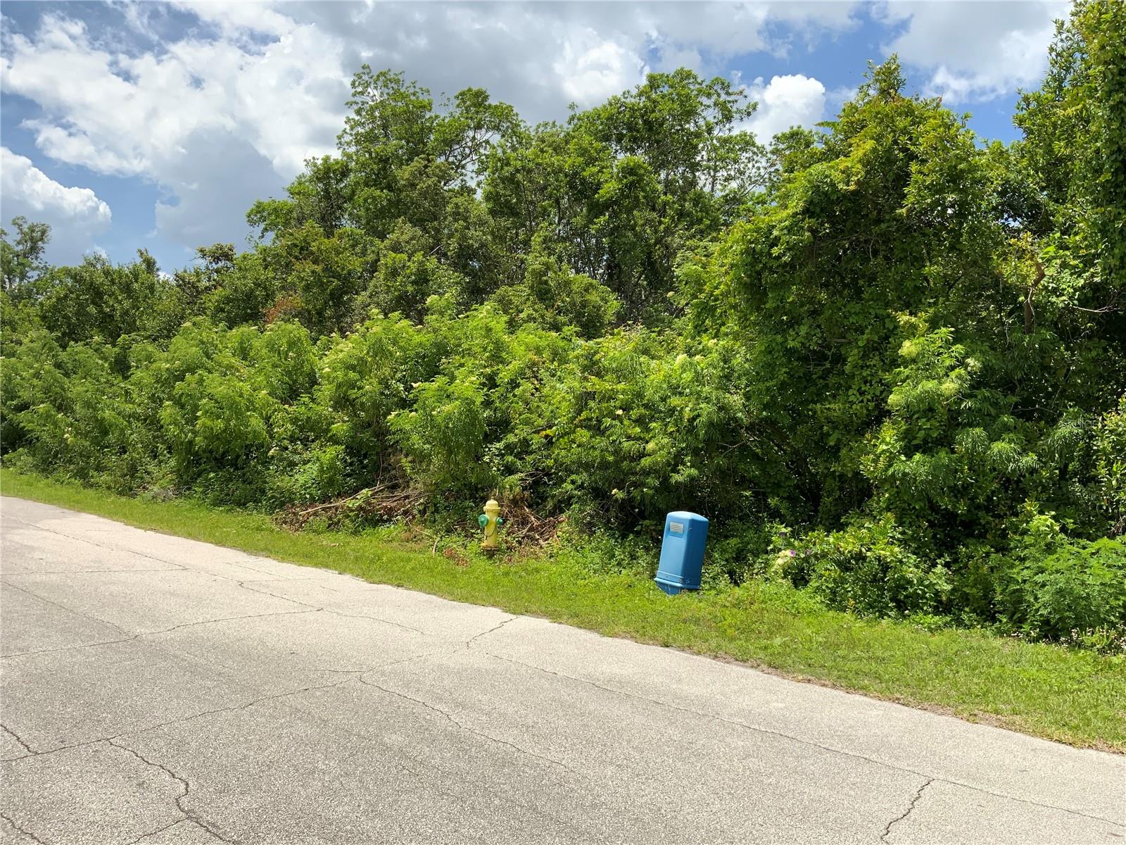 DELTONA LAKES UN 55 #C - Land