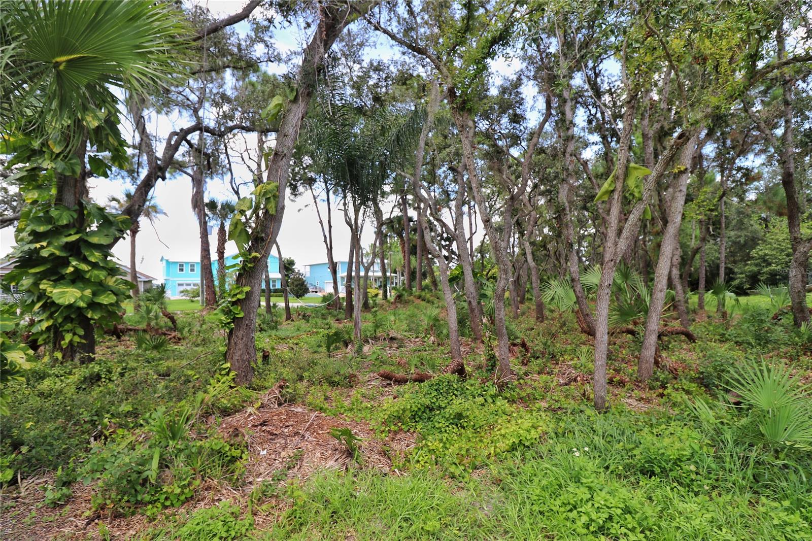 Turnbull Shores Lts 01-99 Inc - Land