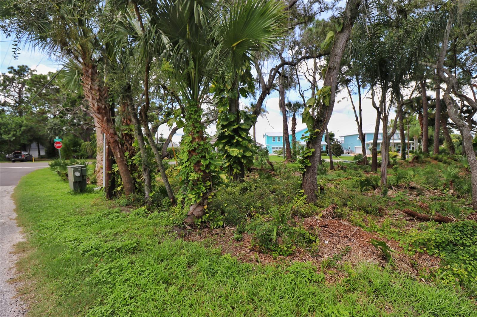 Turnbull Shores Lts 01-99 Inc - Land