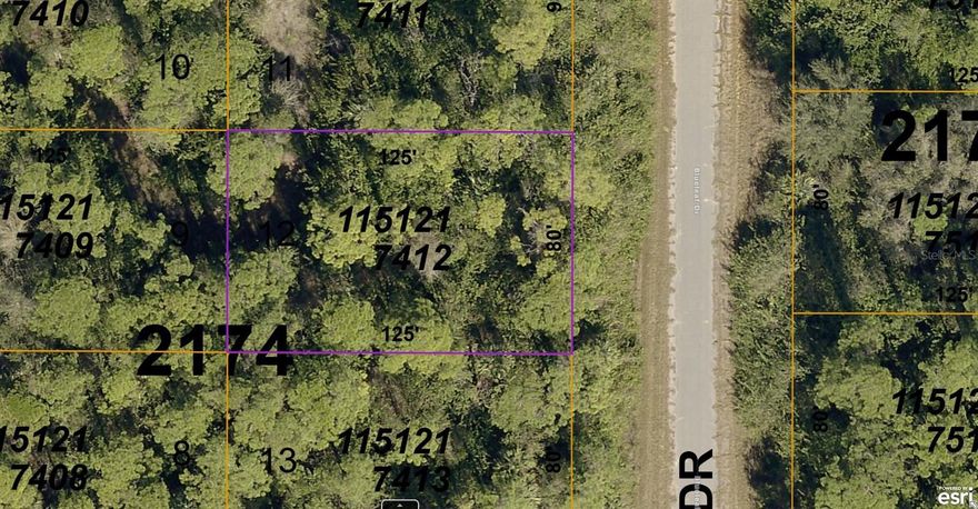 No HOAs with fees or deed restrictions or CDDs. Not on the North Port Scrub Jay list 06/30/23 - please reconfirm during due diligence. North Port is the 7th largest land mass in Florida-the 110th largest in the country!! The growth and potential are absolutely amazing. Conveniently located to shopping, dining, parks, and all that up and coming North Port has to offer (where so much of the city is new and still being built!) including the new Braves Spring Training Stadium. Many beaches located within a 35 minute drive from this lot. New construction is everywhere you look and you can be part of the action. Information about local builders is available upon request. Also great for self directed IRAs, 401Ks and other investment portfolios.