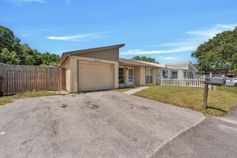 A home in TAMPA