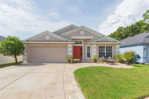 Photo of 25236 Flying Ebony Lane, Wesley Chapel, FL 33544 (MLS # TB8404704)