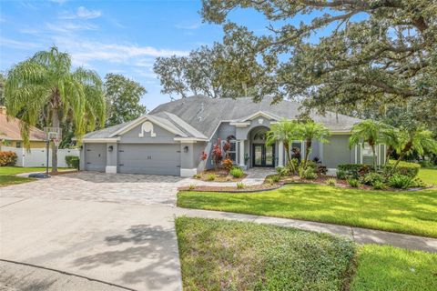Photo of 10129 Paddock Oaks Drive, Riverview, FL 33569 (MLS # TB8423835)
