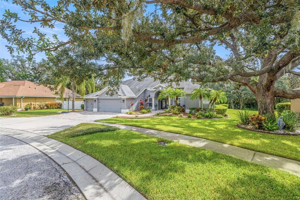 Photo of 10129 Paddock Oaks Drive, Riverview, FL 33569 (MLS # TB8423835)