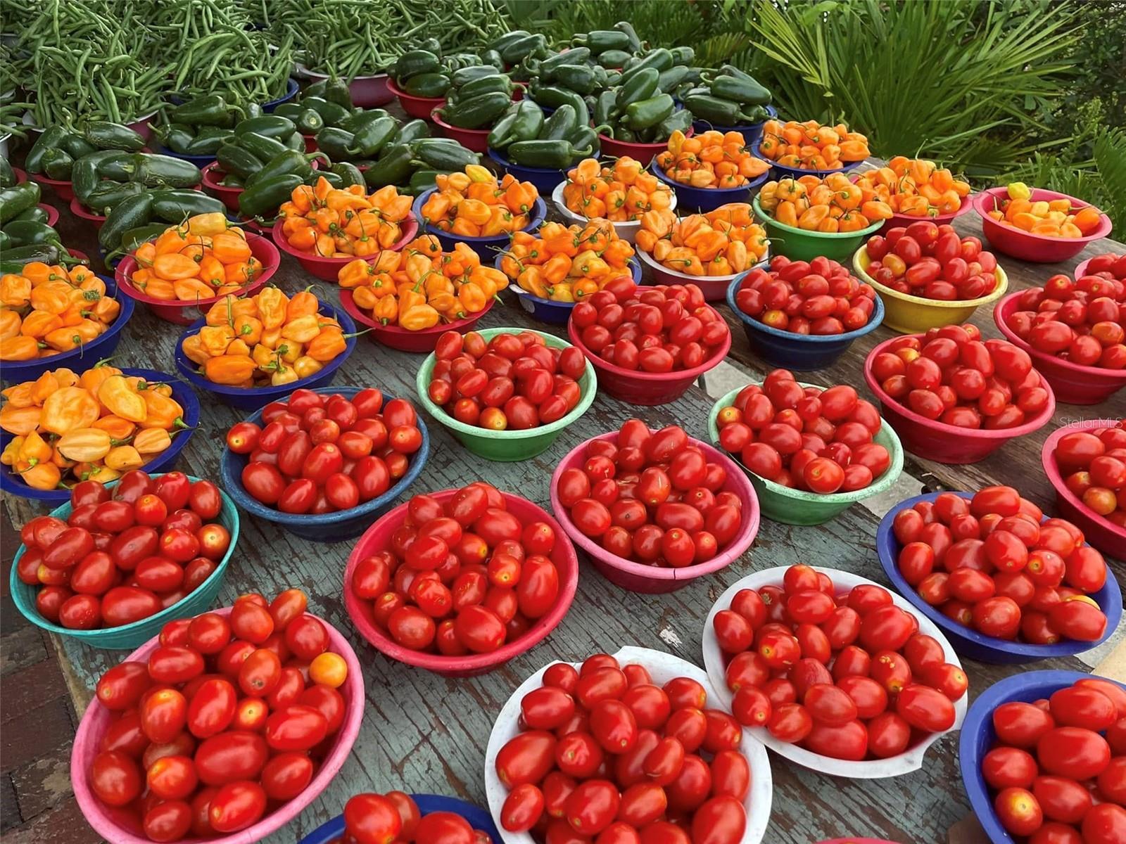 LAKE SEARCY SHORES - Residential