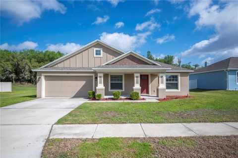 Photo of 1882 Creeks Vista Boulevard, Lakeland, FL 33810 (MLS # L4960336)