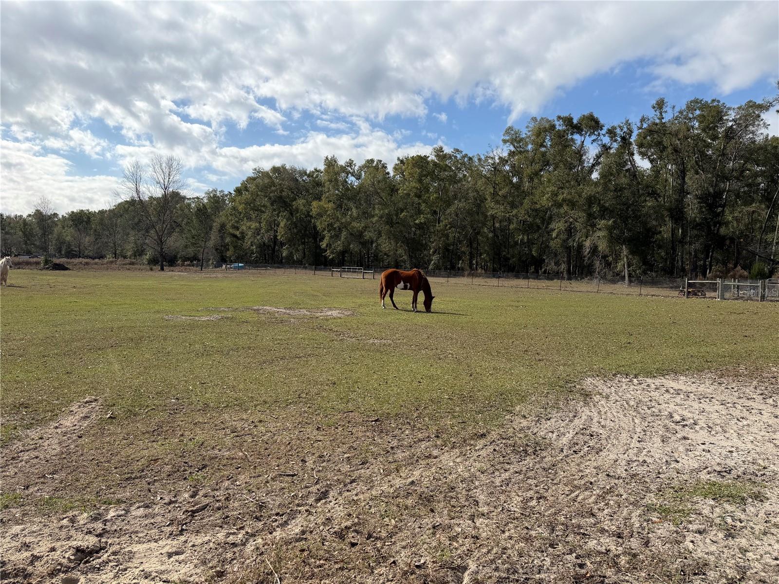 ICHETUCKNEE MEADOWS - Land