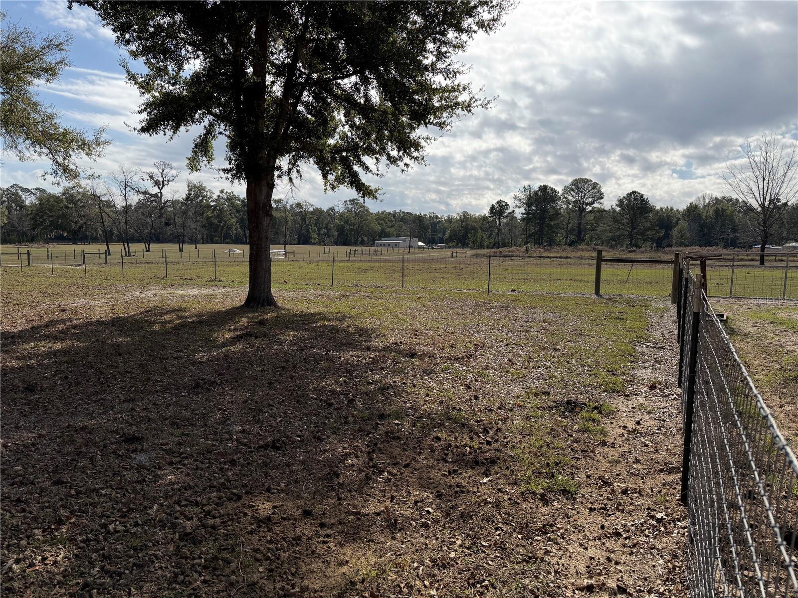 ICHETUCKNEE MEADOWS - Land