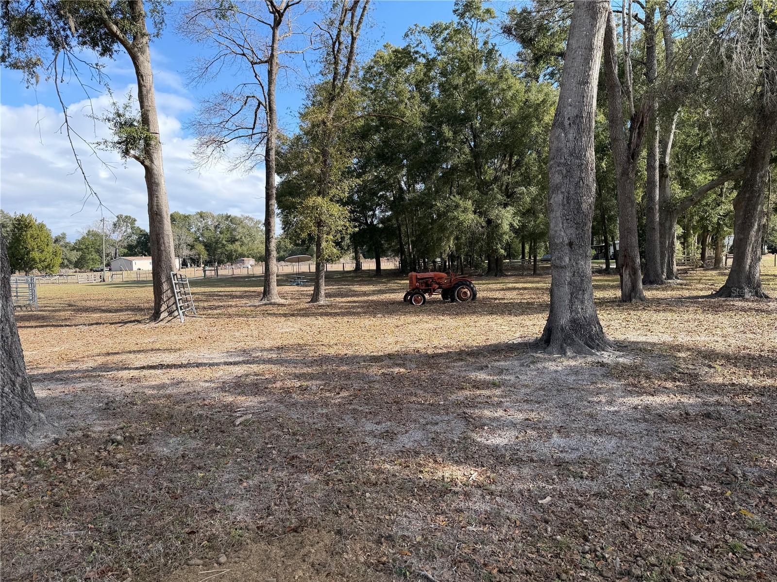 ICHETUCKNEE MEADOWS - Land