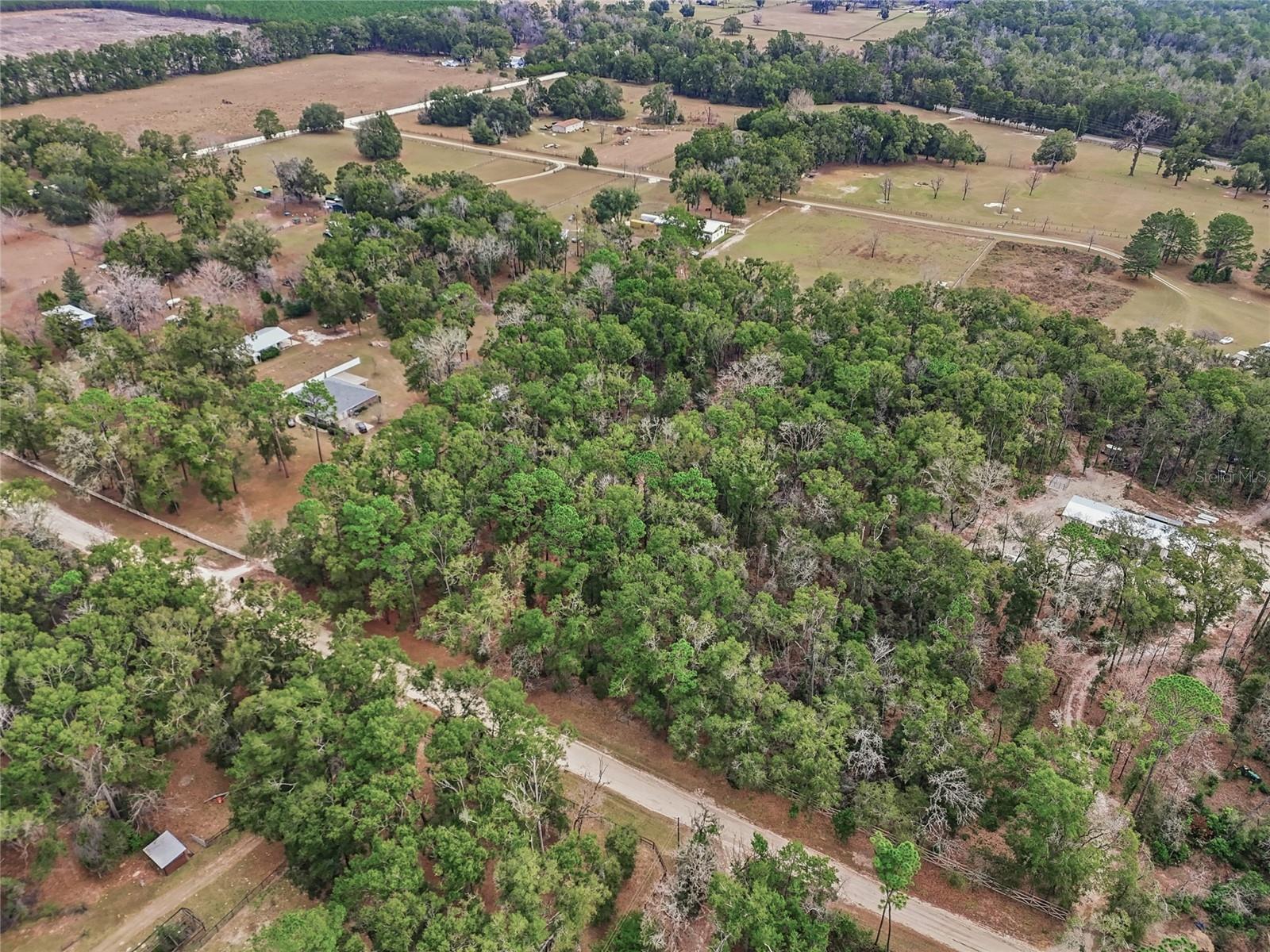 ICHETUCKNEE MEADOWS - Land